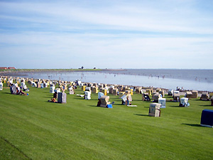 Strand 01 1