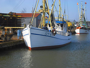 kutter 1